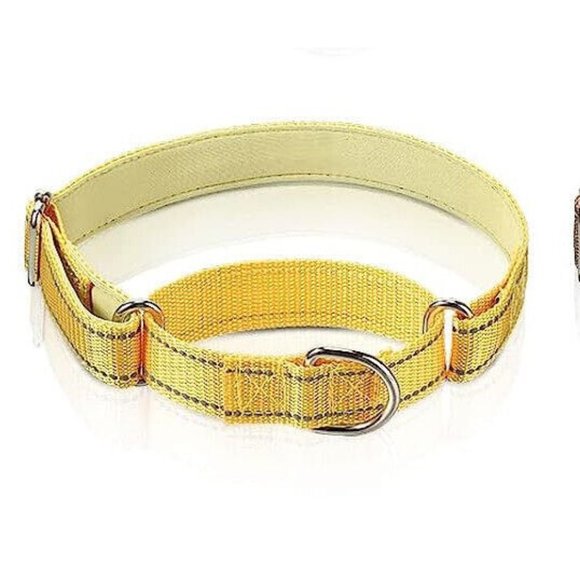 Martingale Reflective Dog Collar Adjustable Safety Nylon  Medium Dogs-Gold - Picture 1 of 4